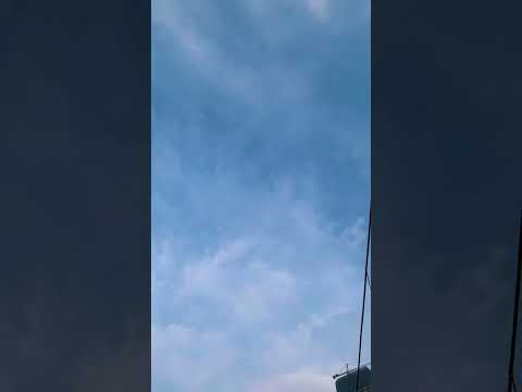 Honey Beach Club | Sri lanka #srilanka #relax #shorts #youtubeshorts #love #foodie #storyofraviya