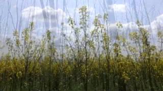 Rantala Danielsson Erskine - Chorale