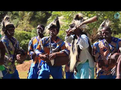 Imachina   'Shishebo'