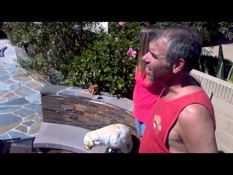 The process of getting solar installed