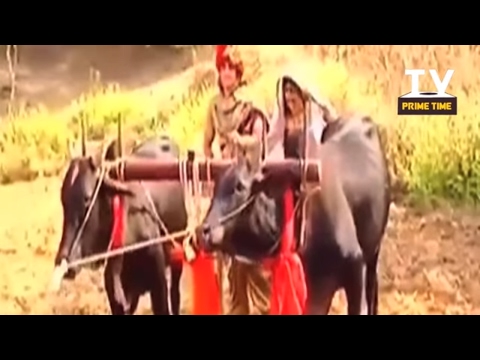 ChandraNandini: Chandra's first farming with Nandini | TV Prime Time