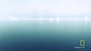 Lou Reed ocean