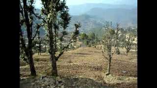 preview picture of video 'Buy 30 Acres of Himalayan land in Mukteshwar Call - 09720 - 1616 - 66 - Mukteshwar Uttarakhand'