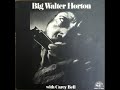 Big Walter Horton With Carey Bell - Full Album