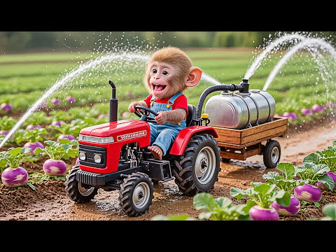 Monkey Nana the Tractor and the Unexpected Adventure of Purple Radish - NANA MONKEY LIFE