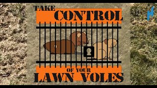 How to get rid of voles!