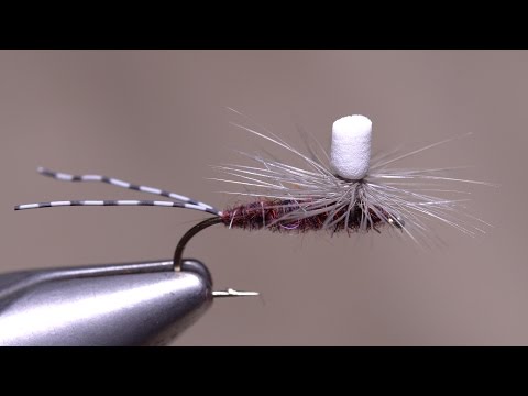 Vanilla Iso Parachute