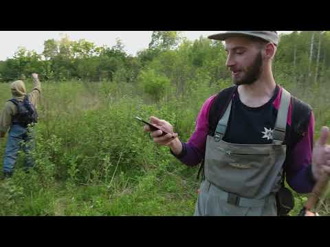 Antanėlis pirma syk muselką mosikuoja