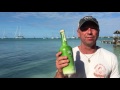 Kenny Chesney + Key Lime Rum Cream