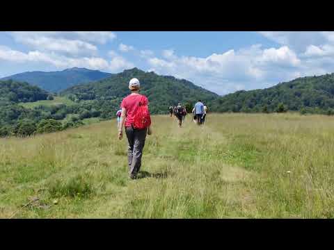 Via Valahia, sectiunea Nucșoara Bradetu