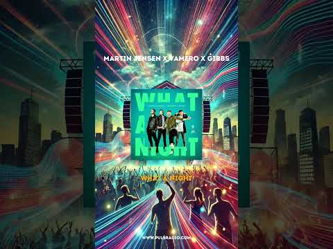 Martin Jensen X Vamero X Gibbs - What A Night