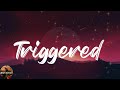 SkyDxddy - Triggered (Lyrics)