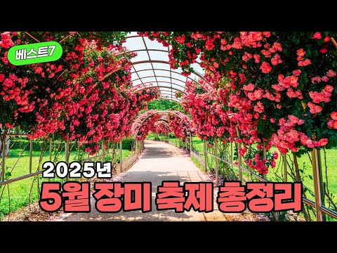 2025년 5월 장미축제 BEST7 🌹  | 가볼만한곳 | 여행 | 5월 | 가정의달 | 장미 | 5월가볼만한곳