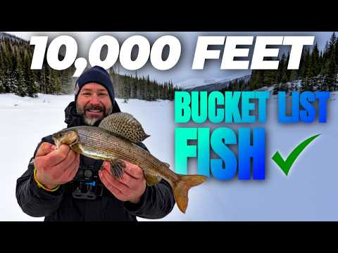 Colorado Ice Fishing Is BRUTAL – Chasing Arctic Grayling in Extreme Wind