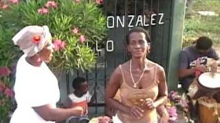 preview picture of video 'Pabla Flores - La zorra en el corral [etnomedia]'