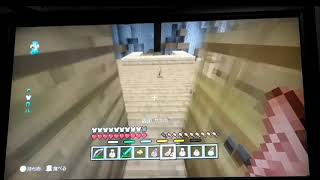 マイクラ普通にバトミニ？