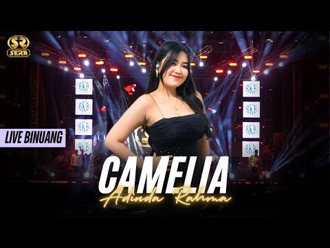 CAMELIA - ADINDA RAHMA - SERA LIVE BINUANG KALSEL
