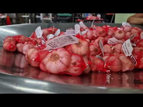 Azienda Agricola Vittorio D'Alessandro - Aglio Rosso di Sulmona (AQ)