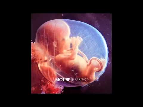 MOTRIP - GORILLA FT. EL MOUSSAOUI - EMBRYO - 10 [CDQ]