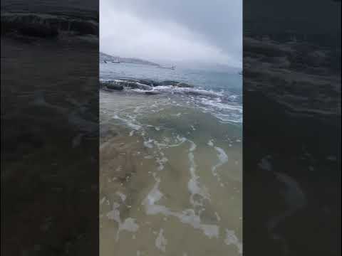 "Um Paraíso Real. Conheça Bombinhas em Santa Catarina."