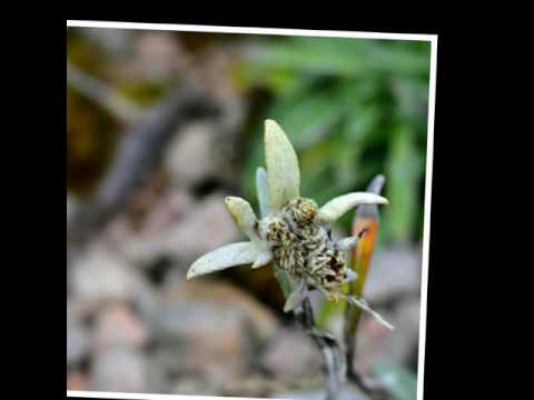 Week end a quota 1800, rifugio cava buscada
