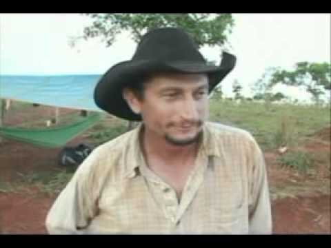 BOIADA TROPEIROS 30 11 10 JORNAL DE MATO GROSSO