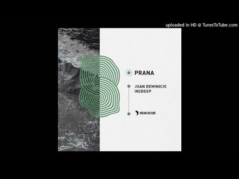Juan Deminicis - Prana (Original Mix)