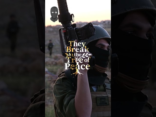 Coming soon. Stay tuned. #palestine #israel #war