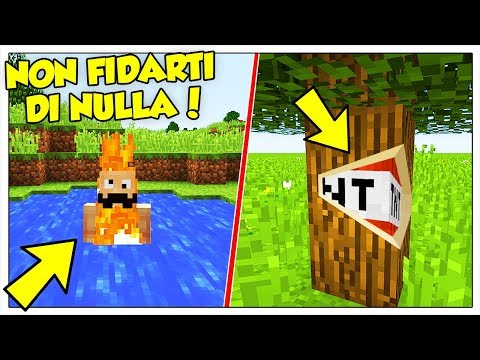 E SE TUTTO MINECRAFT FOSSE UN TROLL?