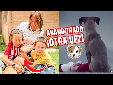 FAMILIA Nos DEVUELVE al CACHORRO ¡PORQUE LE HA ROTO UNA MACETA! + Historia de perrita Estela