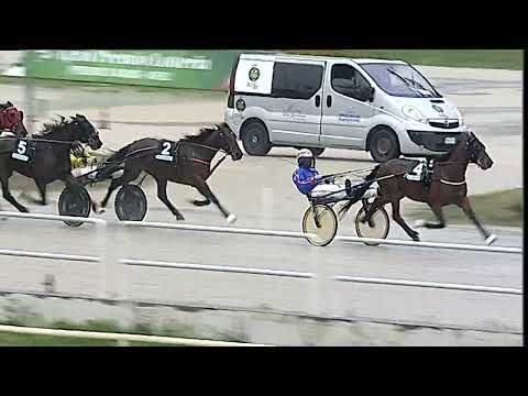 Napoli Trotto 20/01/2023 - 4ª corsa