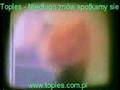 Toples - Niedlugo znow spotkamy sie 