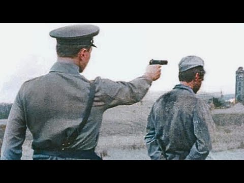 Cuộc Hành Quyết Tàn Bạo 91.000 Người Đức Bị Bắt Tại Stalingrad