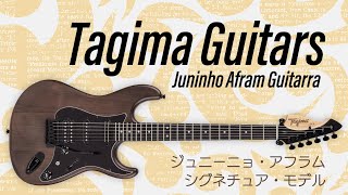  - タジマ・ギターズ 変則HSHが生み出す多彩な音色　Tagima Guitars : JA-3