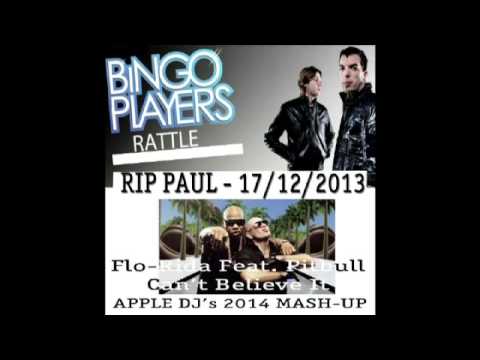 TRIBUTE TO: BINGO PLAYERS VS FLO RIDA - RATTLE VS CAN'T BELIEVE IT (Apple DJ's 2014 Mash-up)