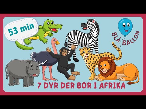 53 MINUTTER: 7 dyr, der bor i Afrika. Chimpanse. Zebra. Flodhest. Gepard. Krokodille. Løve. Struds.