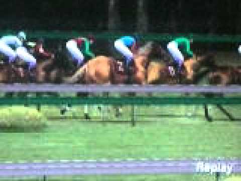 G1 Jockey Wii 2008 Wii