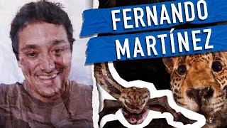 Fotografiar jaguares y el wildlife photographer of the year | Mimetizando podcast.