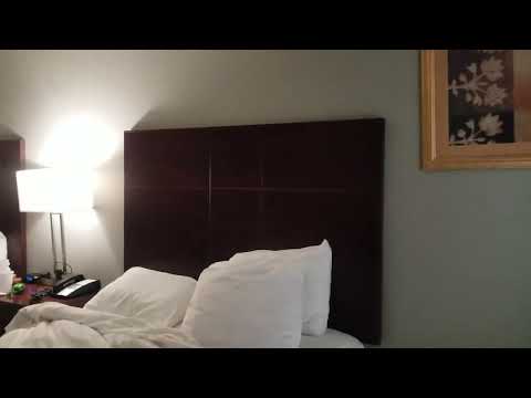 Best Western Green Valley Arizona Motel Room