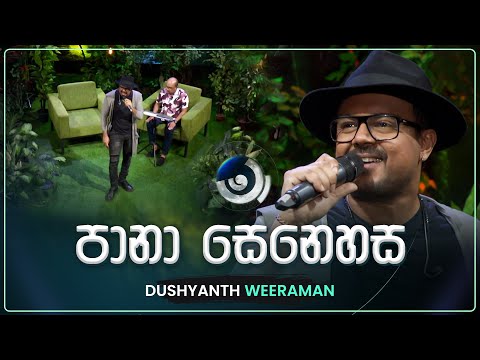 Pana Senehasa (පානා සෙනෙහස) | Dushyanth Weeraman | Maa (මා) | TV Derana