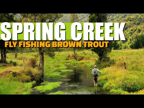 Spring Creek Fly Fishing for Brown Trout - 2 Spring Creeks on 1 Incredible Afternoon Fly Fishing