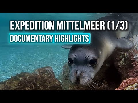 Die letzten ihrer Art – Expedition Mittelmeer (1/3) | Edited by TheMotionArtworks