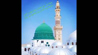 صلوا على نور المنازل محمد الهادي الدليل شفيعنا يوم الزلازل يوم الخلايق في عويل
