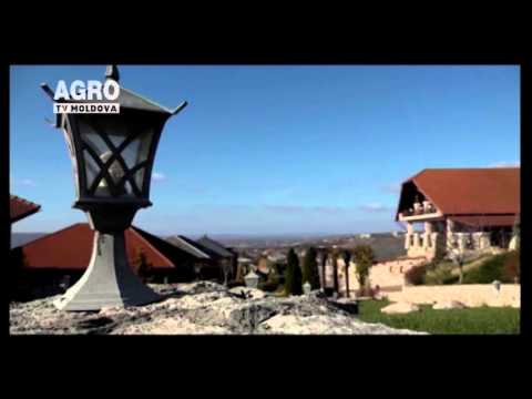 16.11.2015 Stiri AgroTV