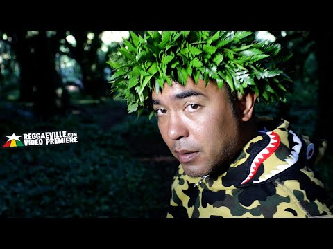 Inna Vision feat. Kayamon - Understand [Official Video 2020]