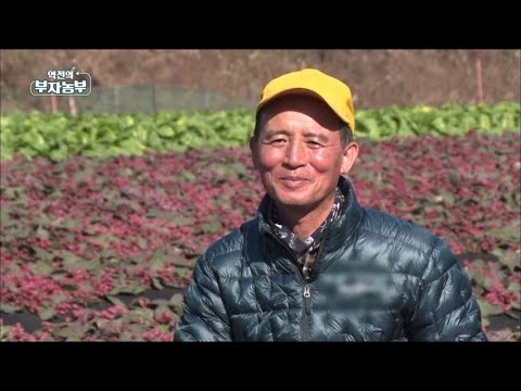 , title : '[120회] 토종 선인장 '천년초' 로 연매출 1억!'