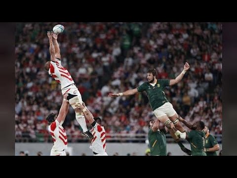 Rugby World Cup: South Africa march into Semi final after beating Japan