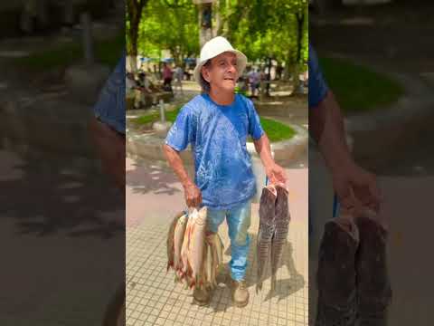 Cimitarra, Santander | Olímpica Stereo se metió de pueblo en pueblo