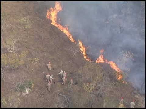 Queimadas em Barão de Melgaço – Parte 2 | Deputado Sérgio Ricardo flagra incêndio no Pantanal