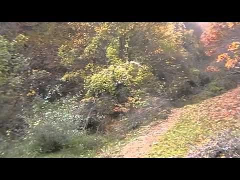 Kroi ndër Gurë - Norçë